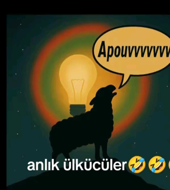 Devlet Bahçeli artık bu sembol diyolar doğrumu?