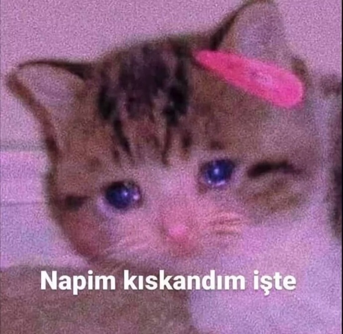 Sevgilinizle en çok hangi konuda kavga edersiniz?