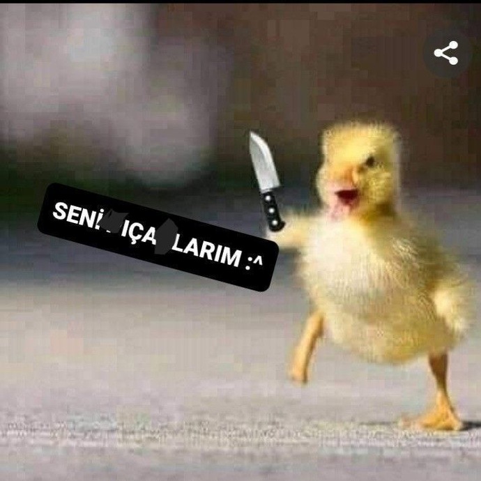 Sevgiliniz karşı cinse öpücüklü emoji atabilir mi?