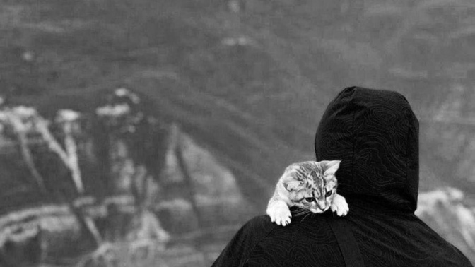 Güzel bir kadını yakışıklı bir erkek mi hak eder?