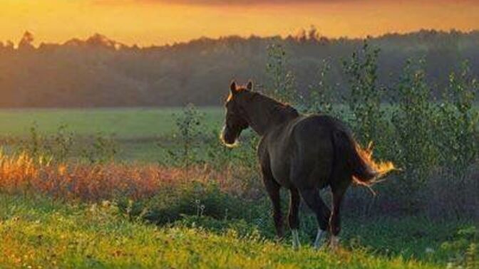 Belgesel izlemek insana ne katar?