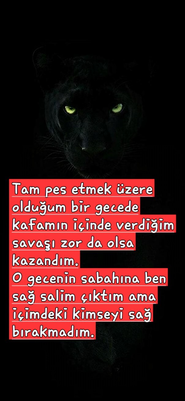 İnsan herseyi kafasinda bitirdikten sonra mı eyleme döker?