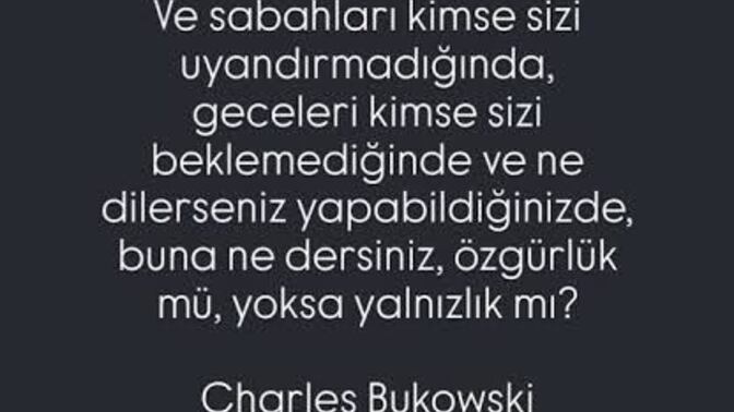 Size göre hangisi Özgürlük mü/Yalnızlık mı?