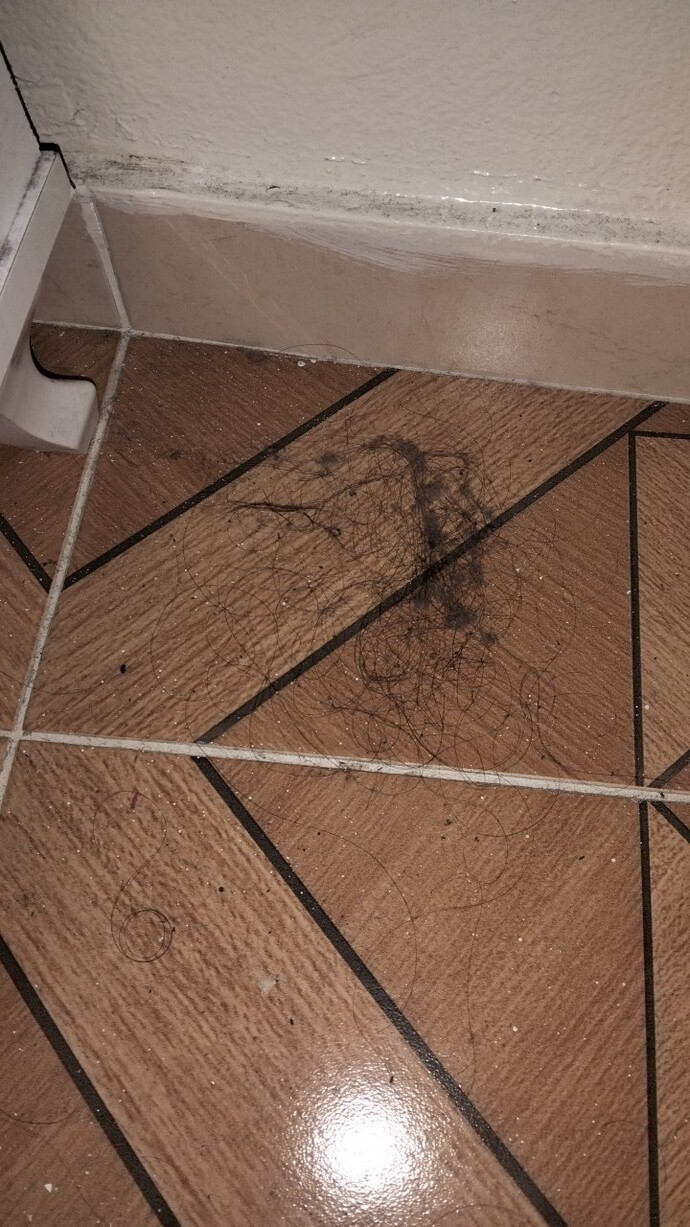 Benden başka kimse evi temizlemiyor şimdi bu rezillik değil de ne?