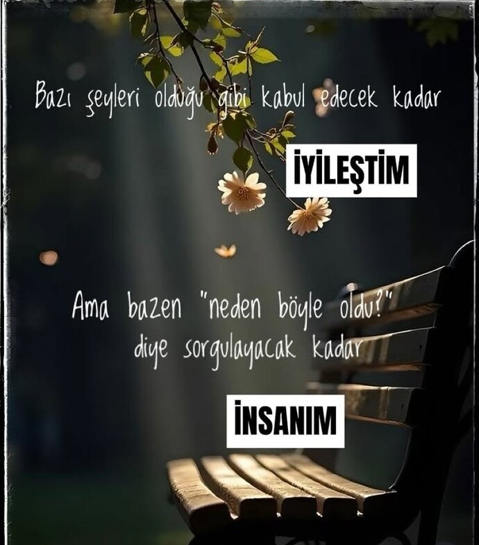 İyi geceler 🥰 siz ne kadar iyileştiniz?