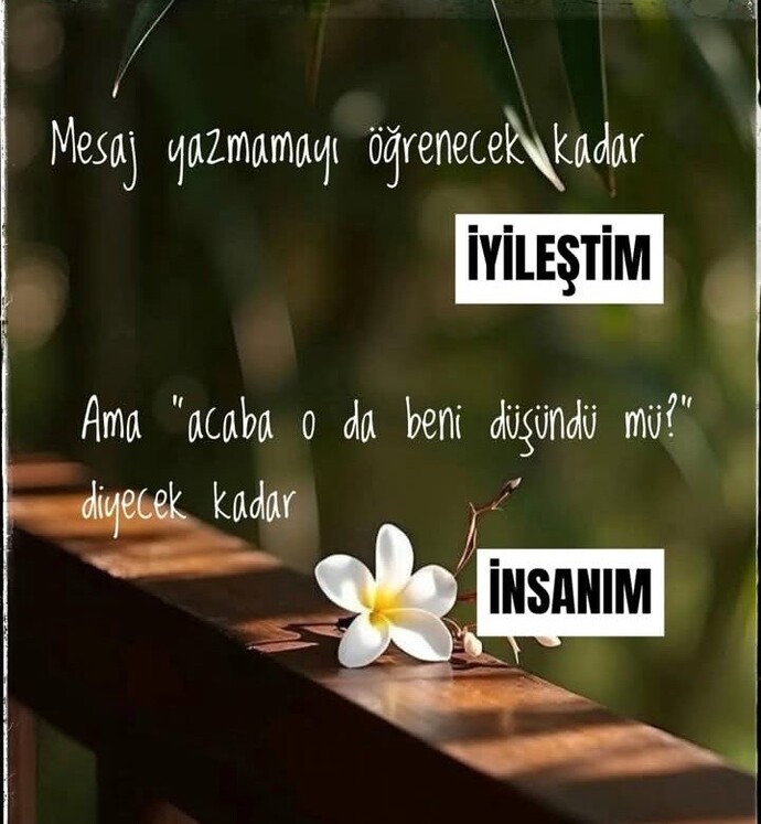 İyi geceler 🥰 siz ne kadar iyileştiniz?