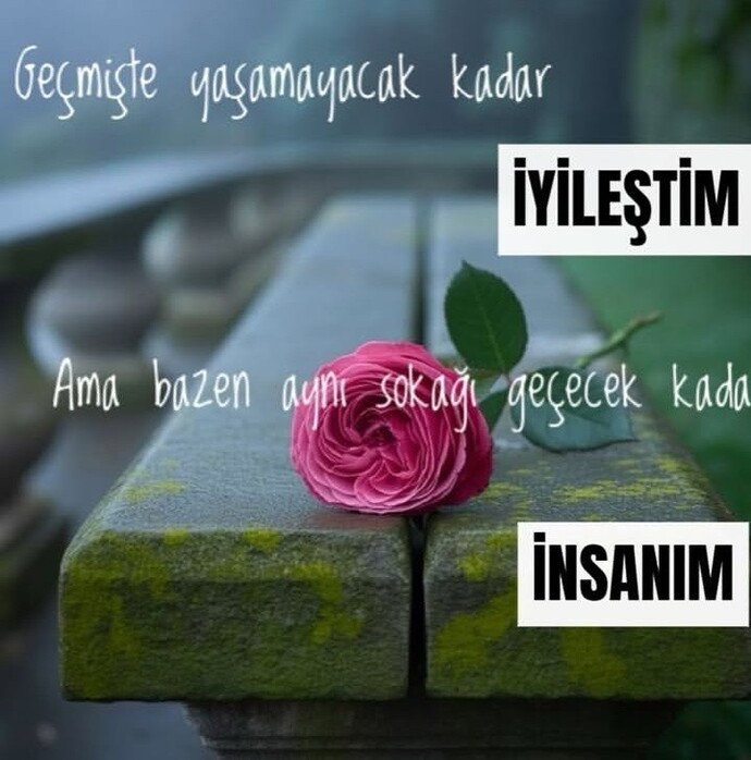 İyi geceler 🥰 siz ne kadar iyileştiniz?