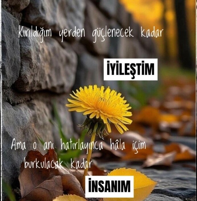 İyi geceler 🥰 siz ne kadar iyileştiniz?