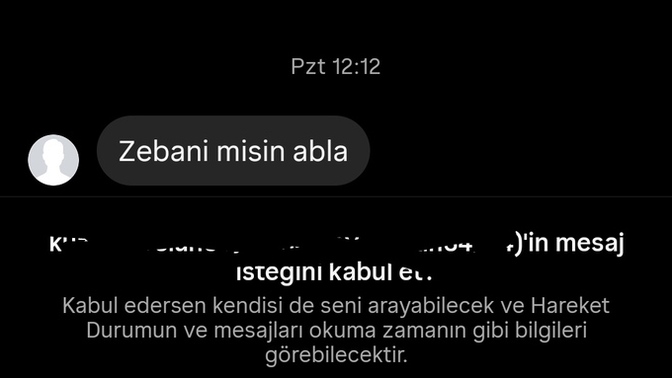 Niye erkekler bazen garip mesajlar atıyor mesela bu ne😂?
