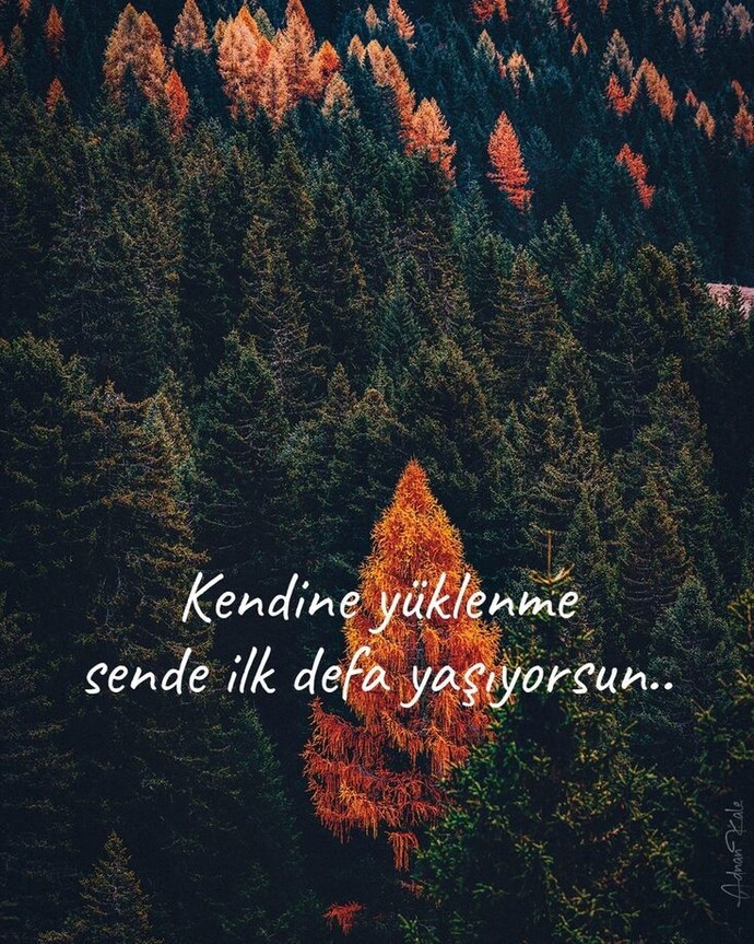 Pişman olduğunuz, keşke yapmasaydım dediğiniz şeyler yaptınız mı?
