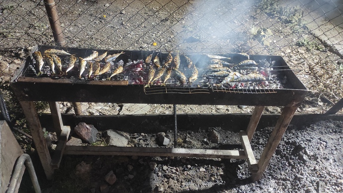 Balığın yanında en güzel hangi salata gider?