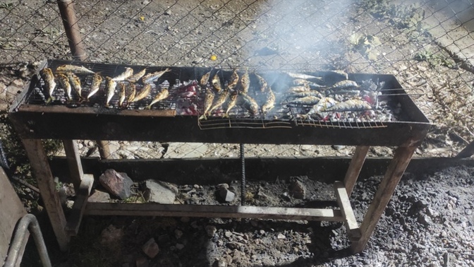 Balığın yanında en güzel hangi salata gider?