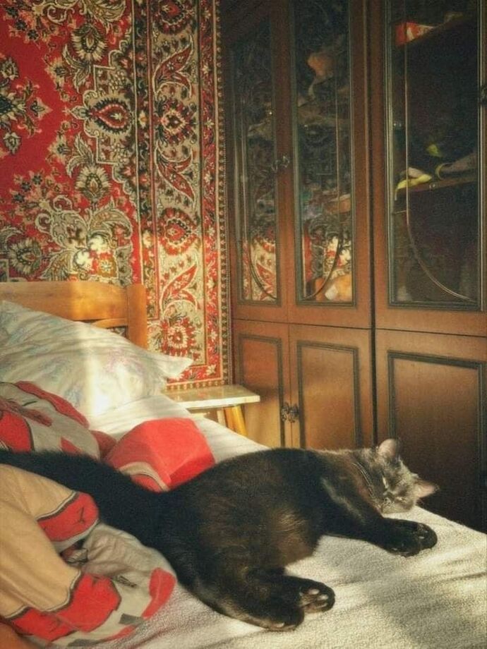 Günün en sevdiğiniz vakti ne zaman?