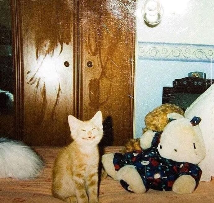 Fotoğraf çekilirken gülümsemeyi mi yoksa ciddi durmayı mı tercih edersiniz?
