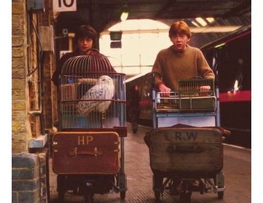 Avatar serisi Harry Potter serisine rakip alabilir mi?