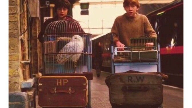Avatar serisi Harry Potter serisine rakip alabilir mi?