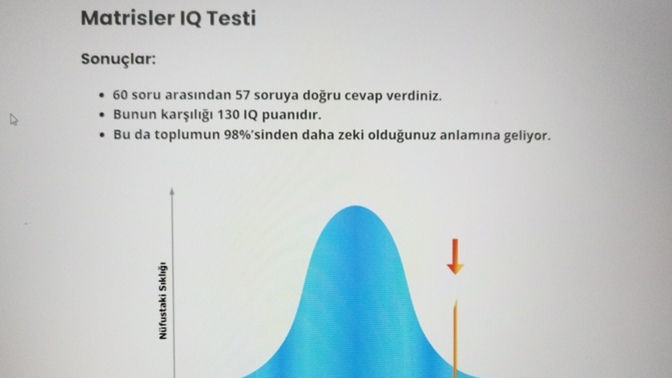 Hiç profesyonel bir IQ testi yaptırdınız mı v kaç aldınız?