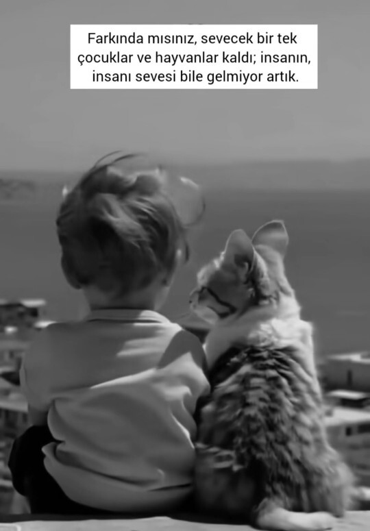 Bu hayatta güvendiğiniz insan sayısı kaçtır?