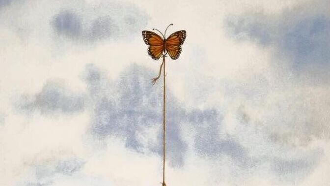 Çok ağır bedeller ödediniz mi?