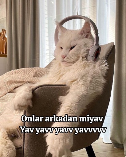 Anlamamakta ısrar eden insanlar aşırı toksik değil mi?