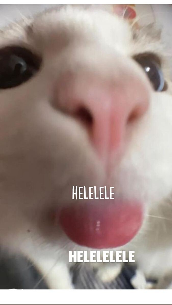 Ehliyete yazıldım ne önerirsiniz?