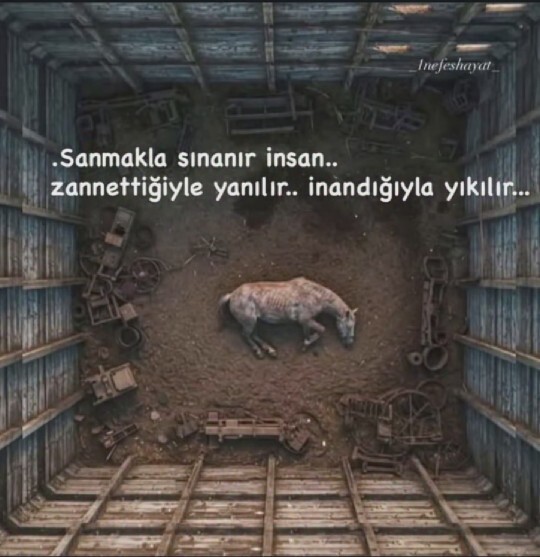 İnsan en çok neyle yanılır: Sandığıyla mı, inandığıyla mı?