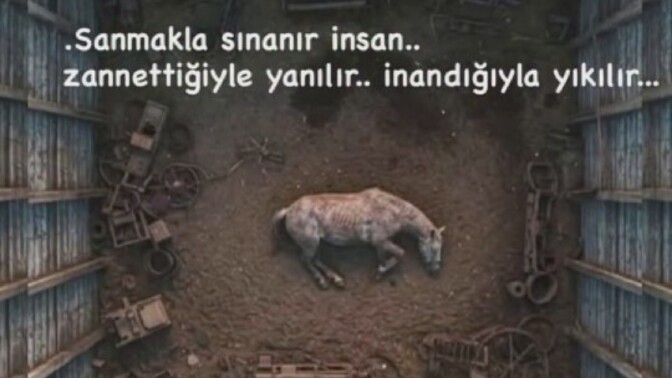 İnsan en çok neyle yanılır: Sandığıyla mı, inandığıyla mı?