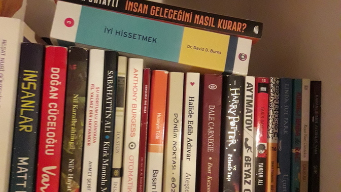 Kitaplığınızdaki bütün kitapları sever misiniz 📖📚?