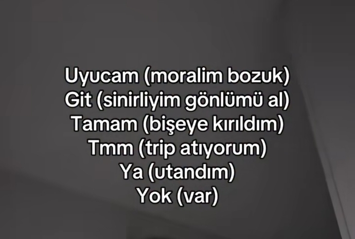 Kız dili ve edebiyatı diye bir şey var mı?