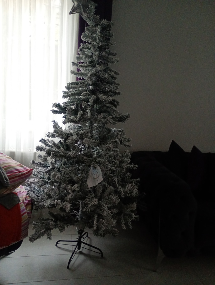 Yılbaşı geliyor kimler evini çam ağacı ile süsleyecek?