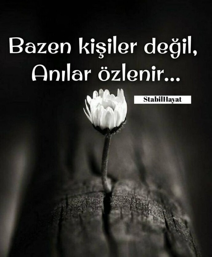 Bazende kişiler değilde anılar mı özlenir?