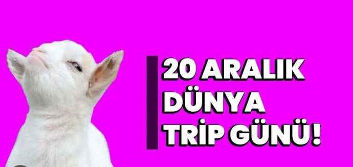 Kızların en çok trip attığı konu nedir?
