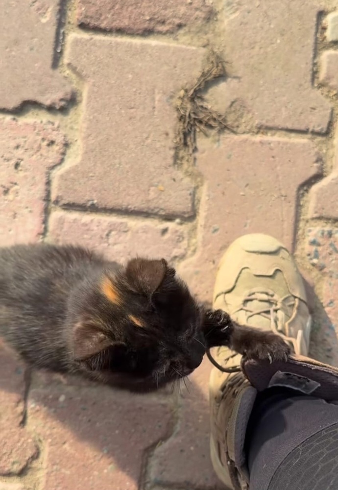 Ne kadar süre yürümek seni yorar?