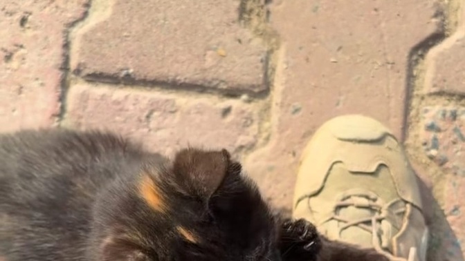 Ne kadar süre yürümek seni yorar?