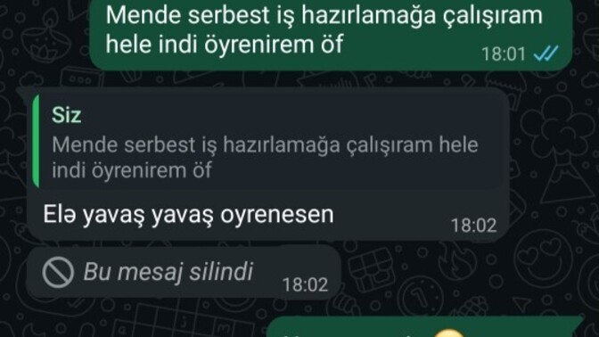 Yazdığı mesajı siz görmeden silen insanlara gıcık olur musunuz?