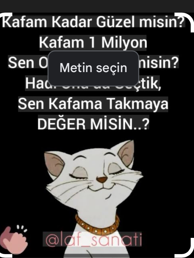 Tatlımı tuzlumusun yoksa ; kafanmı güzel?