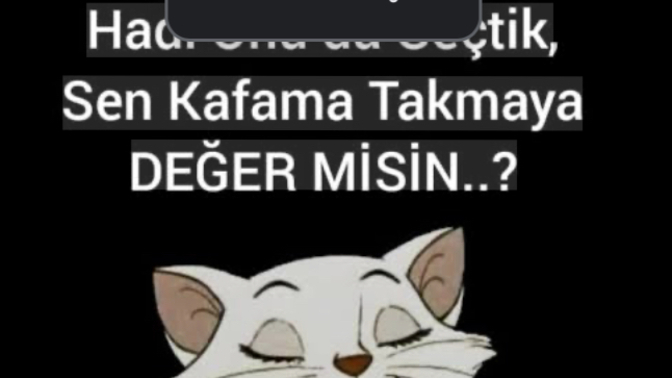 Tatlımı tuzlumusun yoksa ; kafanmı güzel?