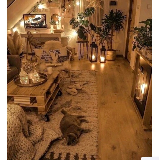 Sarı ev ortamı mı daha güzel yoksa mor ev ortamı mı?