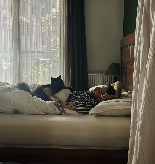 Kedilerle 🐱 aynı yatakta uyunur mu?