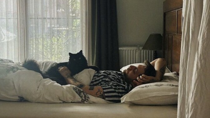 Kedilerle 🐱 aynı yatakta uyunur mu?