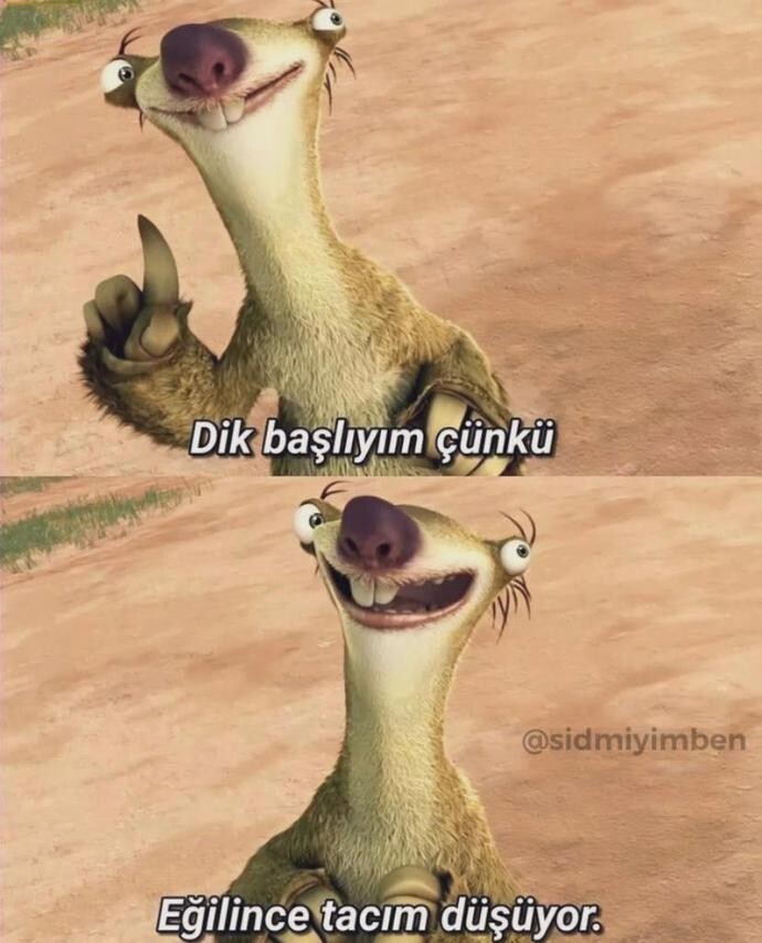 Dik başlılık yapıyor musunuz?
