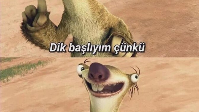 Dik başlılık yapıyor musunuz?