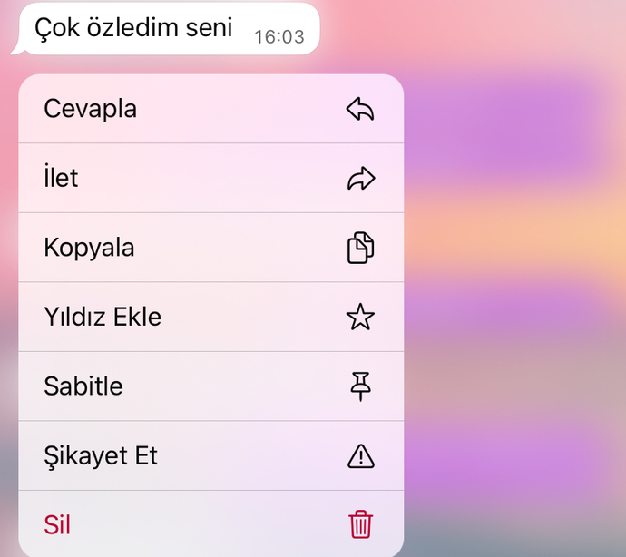 Eski sevgiliniz barışmak istese, barışır mıydınız?