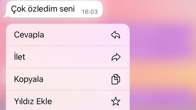 Eski sevgiliniz barışmak istese, barışır mıydınız?