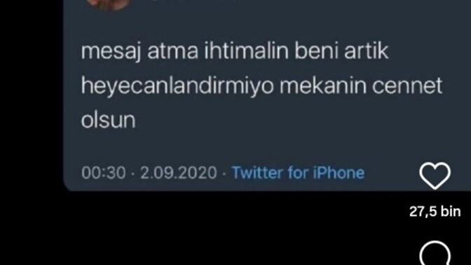 Bana mesaj atan eski sevgilime bu reelsı gönderdim ne hissetmiştir?