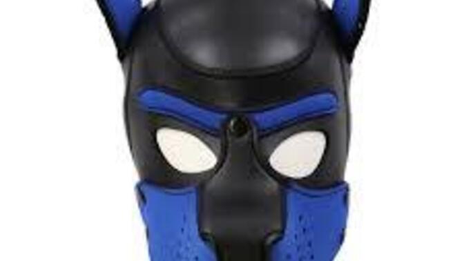 Bir maskeli cinsel partiye davetli olsaydınız nasıl bir maske kullanırdınız?