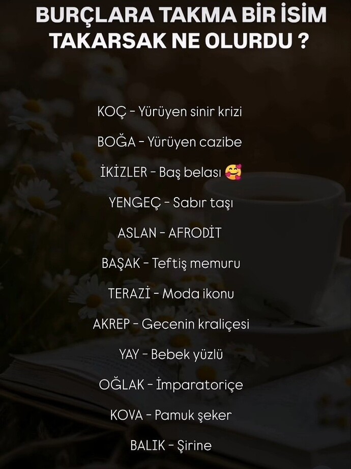 Burçlara takma isim taksak bu ne olurdu?