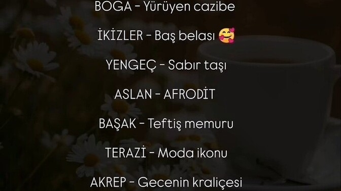 Burçlara takma isim taksak bu ne olurdu?