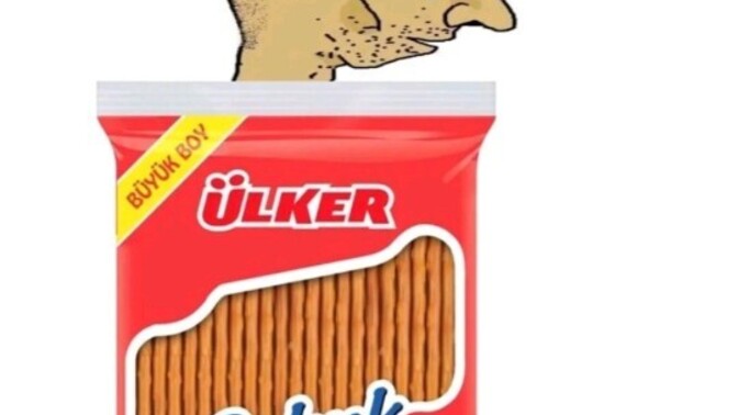Kekoları seviyor musunuz?