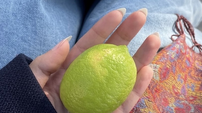 Güzel kadın mı yoksa akıllı kadın mı öncelikli?
